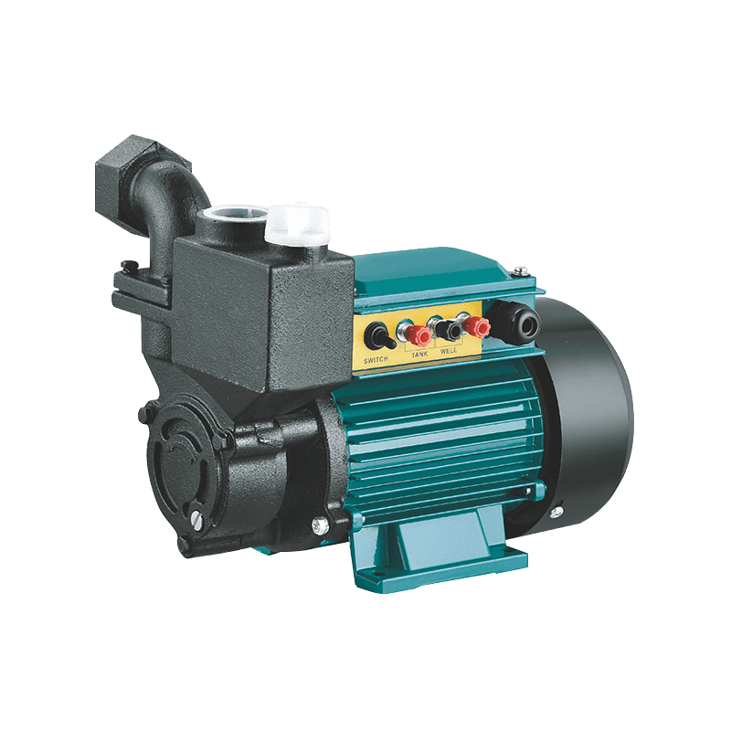 LIS/LICPM All-Iron Solar High-Lift Low-Flow Pump