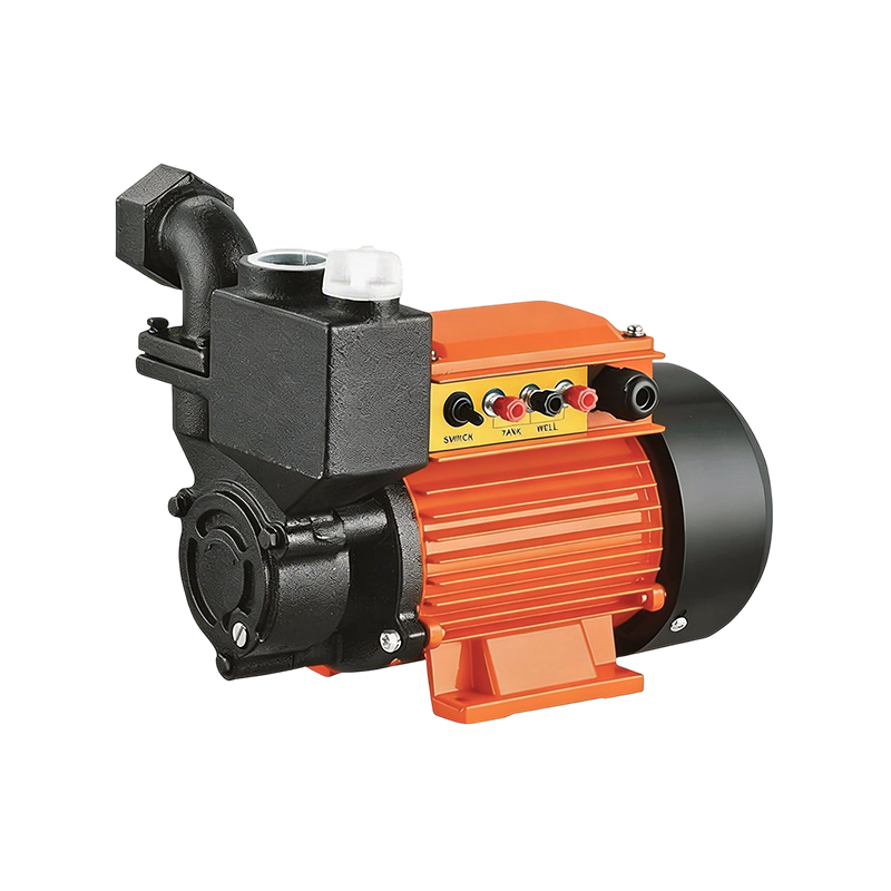 LIS/LICPM All-Iron Solar High-Lift Low-Flow Pump